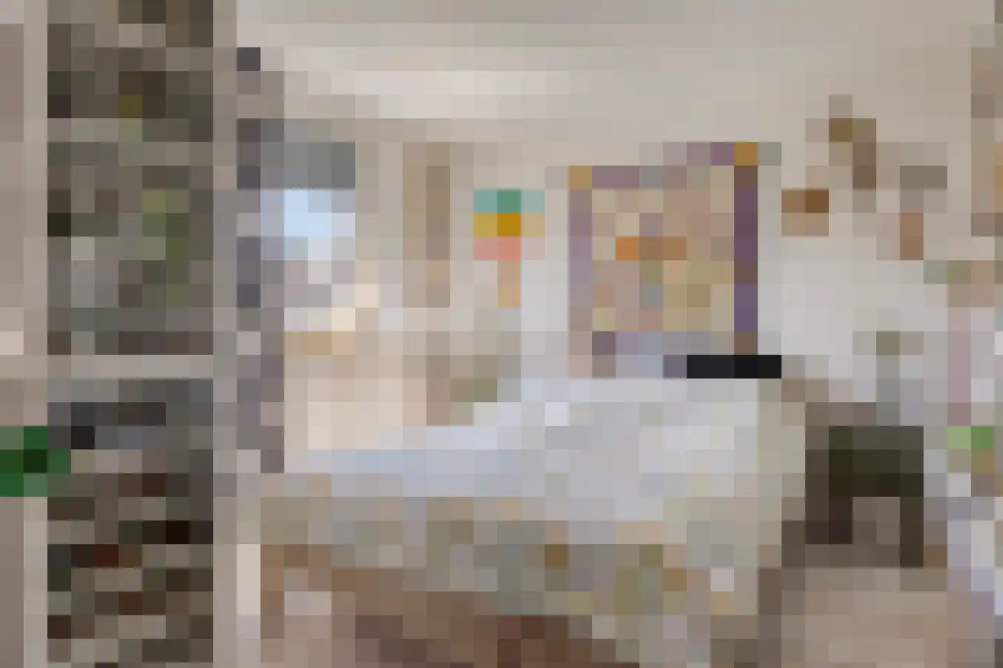 Theo Mann-Bouwmeesterstraat 2 Spijkenisse thumbnail 11