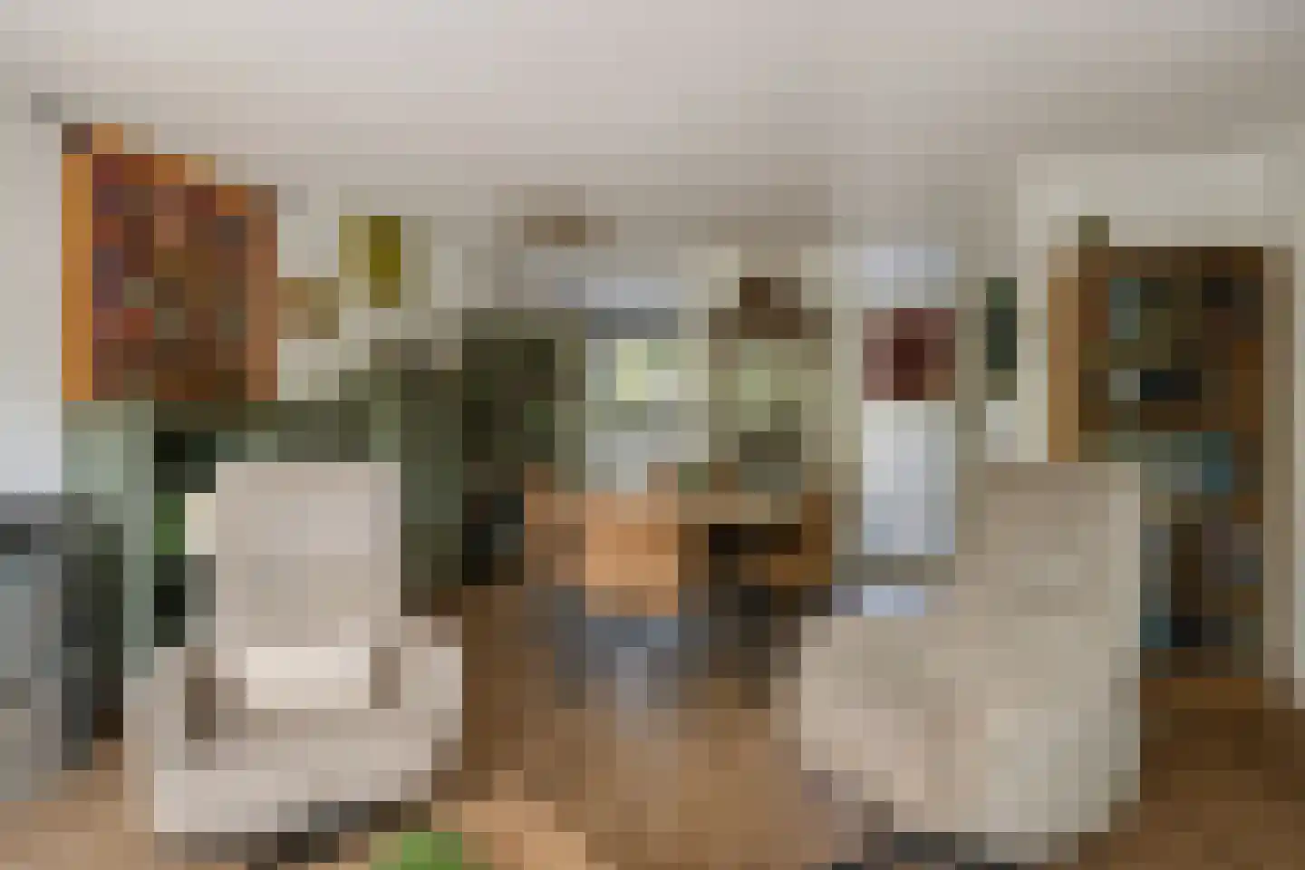 Theo Mann-Bouwmeesterstraat 2 Spijkenisse thumbnail 11
