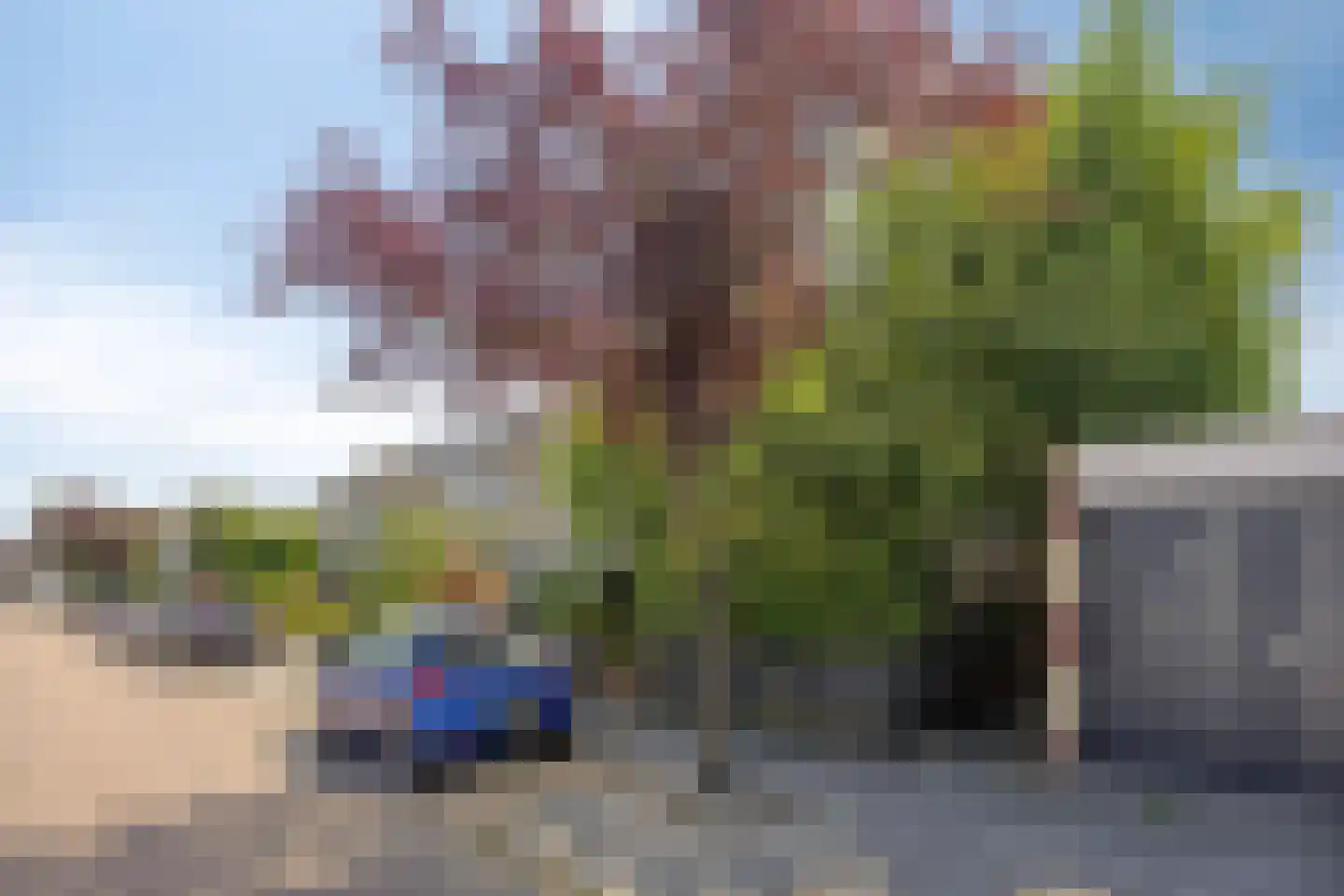 Theo Mann-Bouwmeesterstraat 2 Spijkenisse thumbnail 6