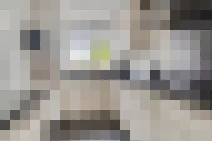 Theo Mann-Bouwmeesterstraat 72 Spijkenisse thumbnail 10