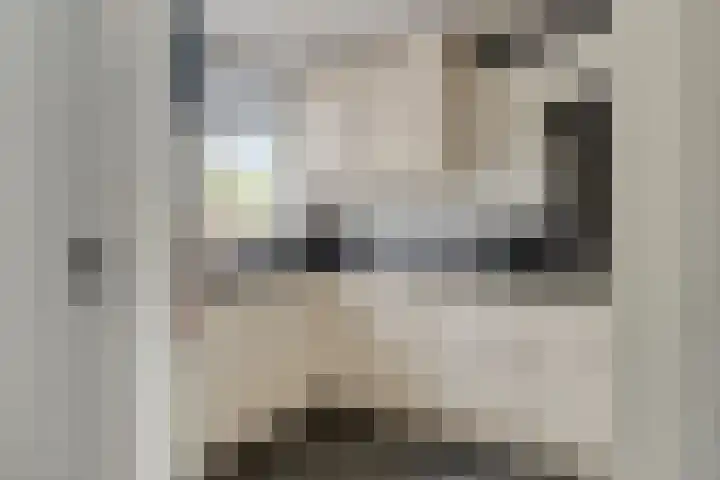 Theo Mann-Bouwmeesterstraat 72 Spijkenisse thumbnail 11