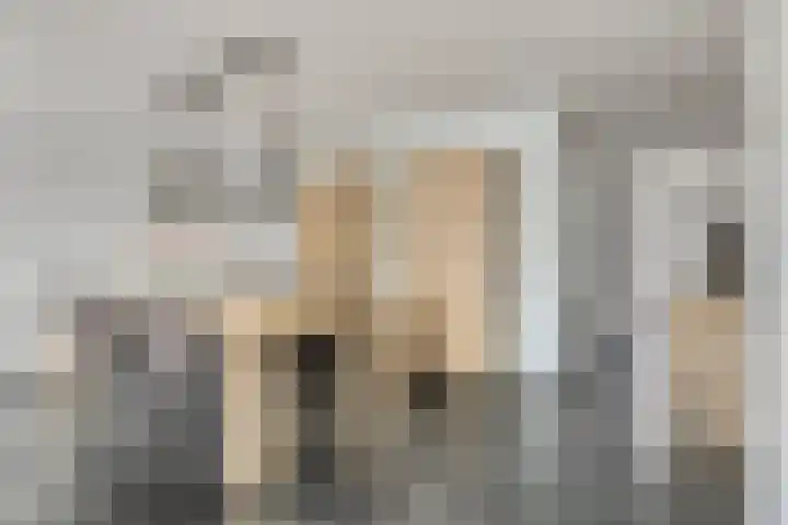 Theo Mann-Bouwmeesterstraat 72 Spijkenisse thumbnail 7