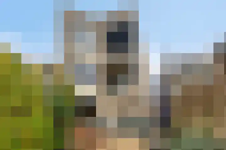 Theo Mann-Bouwmeesterstraat 82 Spijkenisse thumbnail 14