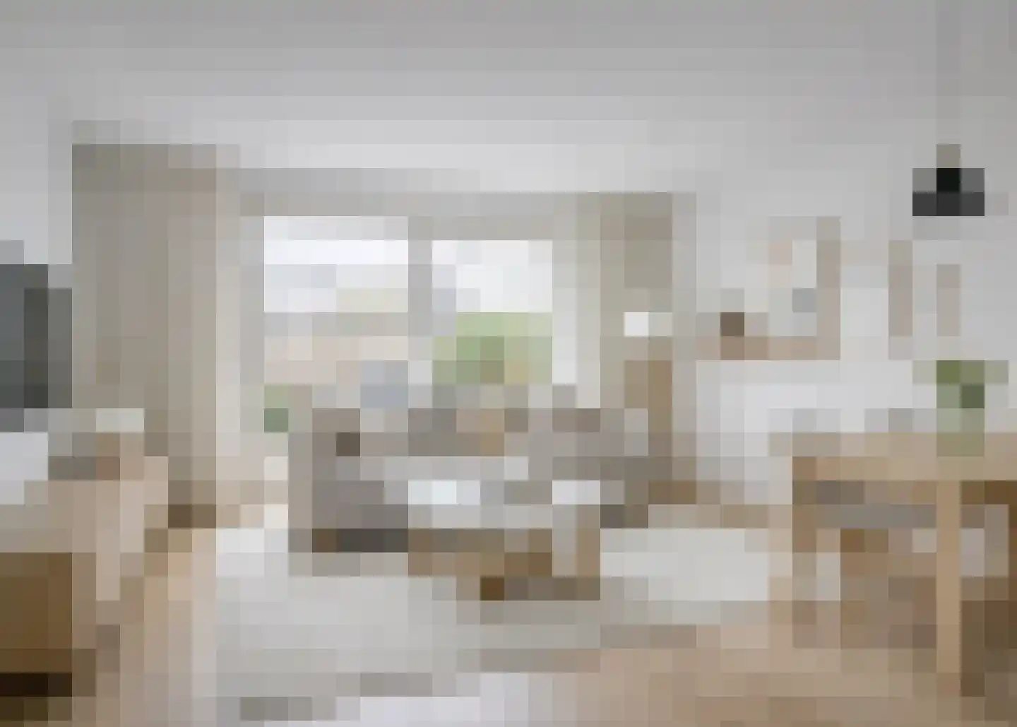 Theo Mann-Bouwmeesterstraat 9 Zaandam thumbnail 7