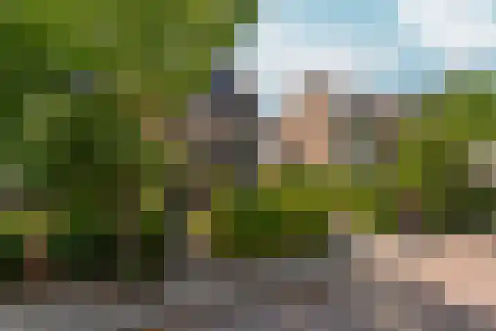 Theo Snoekstraat 6 Abcoude thumbnail 6