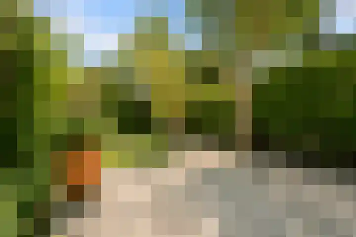 Theo Snoekstraat 7 Abcoude thumbnail 14