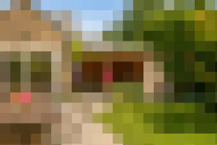 Theo Snoekstraat 7 Abcoude thumbnail 31