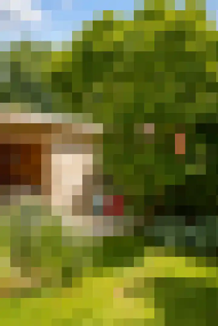 Theo Snoekstraat 7 Abcoude thumbnail 32