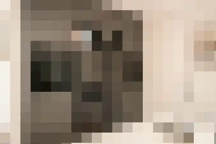 Theo Snoekstraat 7 Abcoude thumbnail 43