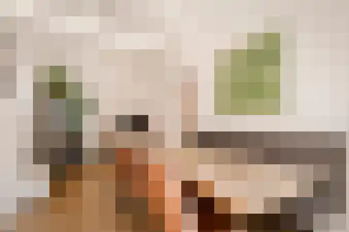 Theo Snoekstraat 7 Abcoude thumbnail 49