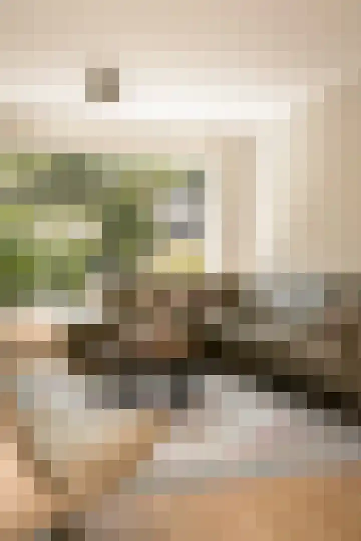 Theo Snoekstraat 7 Abcoude thumbnail 5