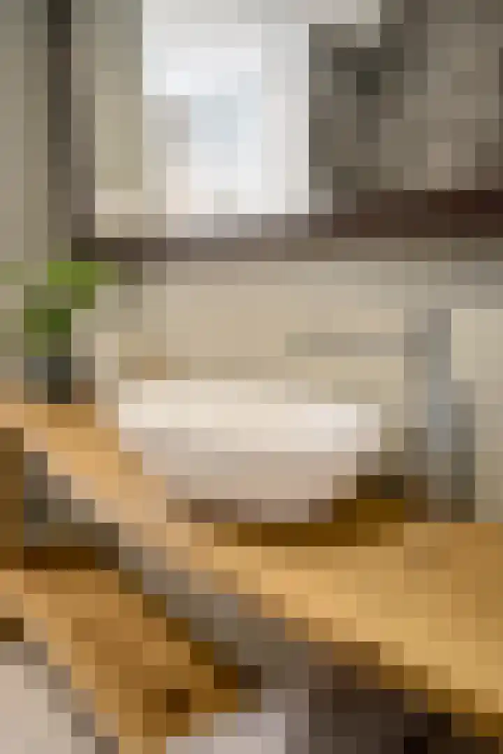 Theo Snoekstraat 7 Abcoude thumbnail 66