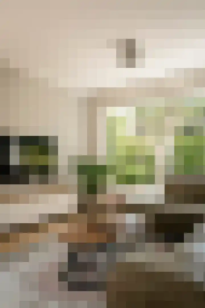 Theo Snoekstraat 7 Abcoude thumbnail 7