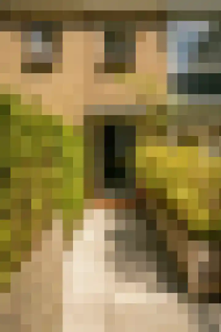 Theo Snoekstraat 7 Abcoude thumbnail 77