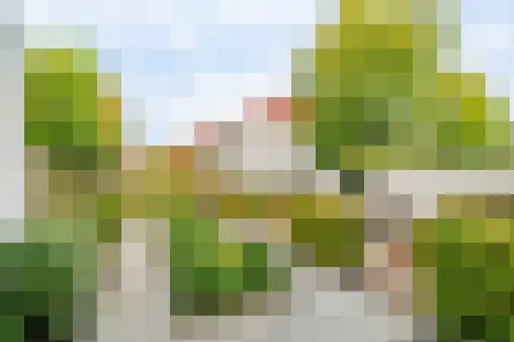Theo Thijssenhof 4 Amstelveen thumbnail 15