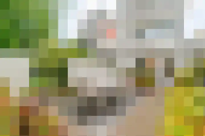 Theo Thijssenhof 4 Amstelveen thumbnail 17