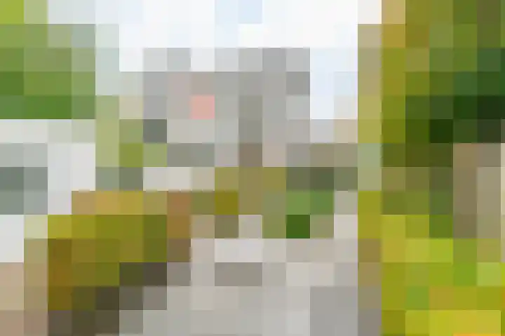 Theo Thijssenhof 4 Amstelveen thumbnail 18