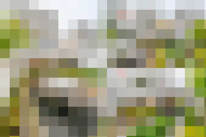 Theo Thijssenhof 4 Amstelveen thumbnail 19