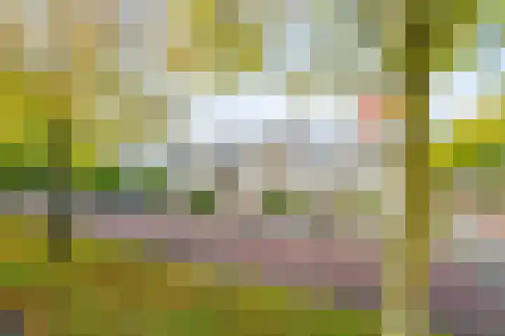 Theo Thijssenhof 4 Amstelveen thumbnail 35