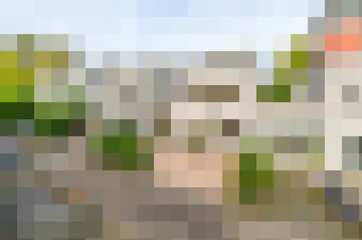 Theo Thijssenhof 4 Amstelveen thumbnail 36