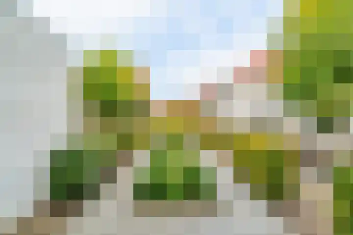 Theo Thijssenhof 4 Amstelveen thumbnail 4