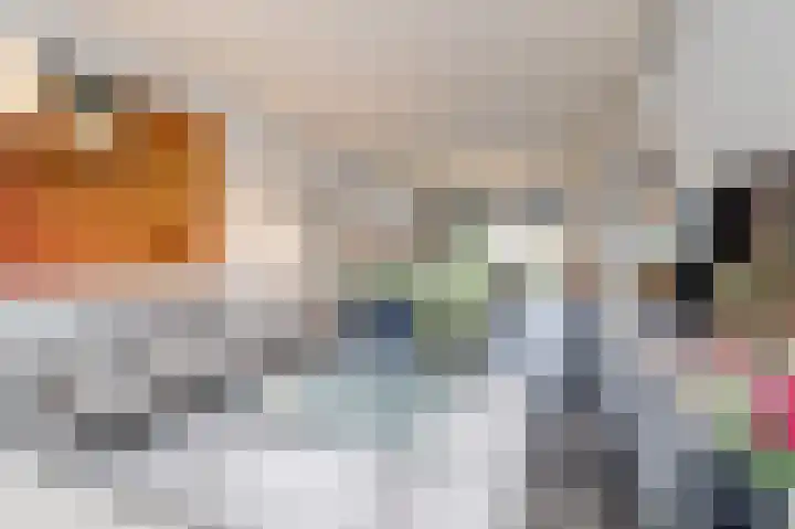 Theo Thijssenhof 4 Amstelveen thumbnail 6