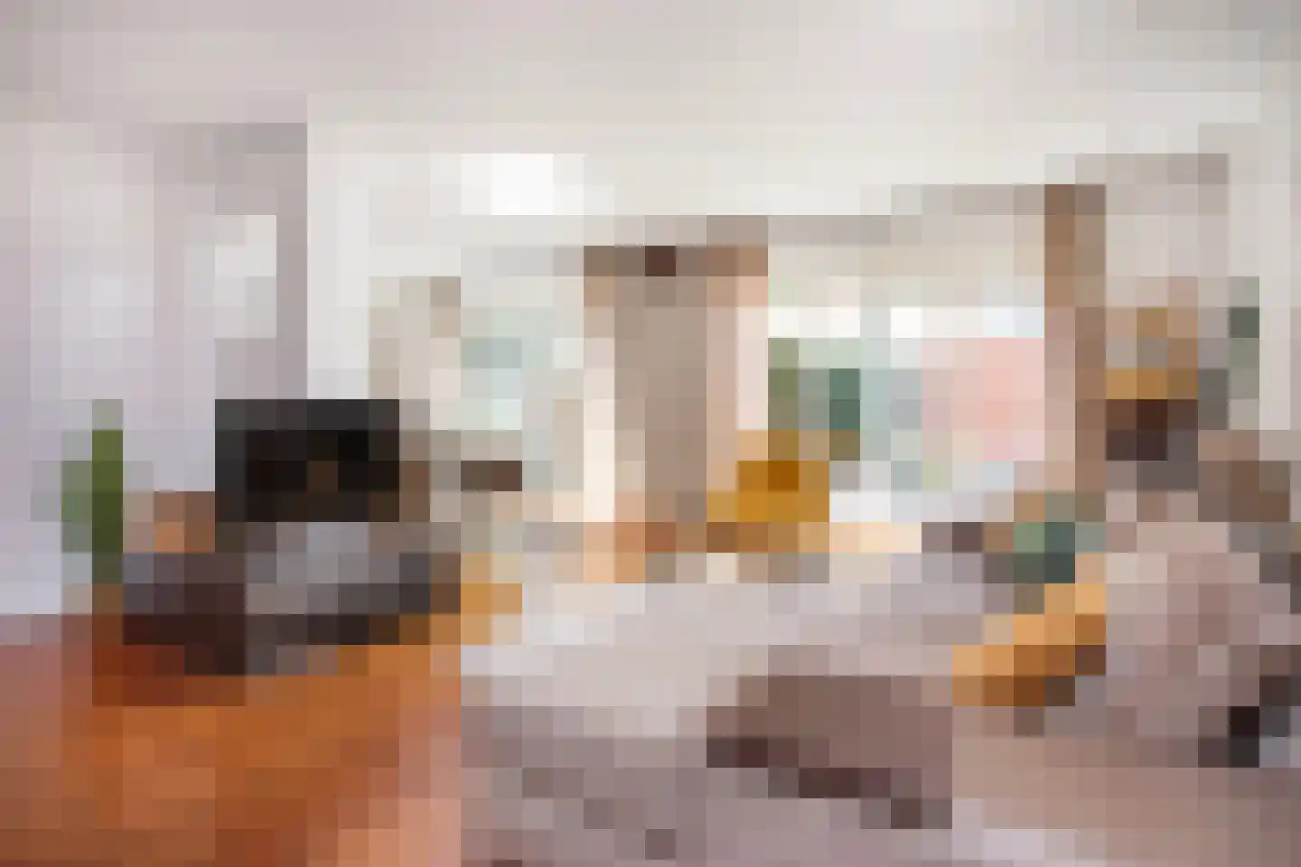 Theo Thijssenhove 21 Nieuwegein thumbnail 12