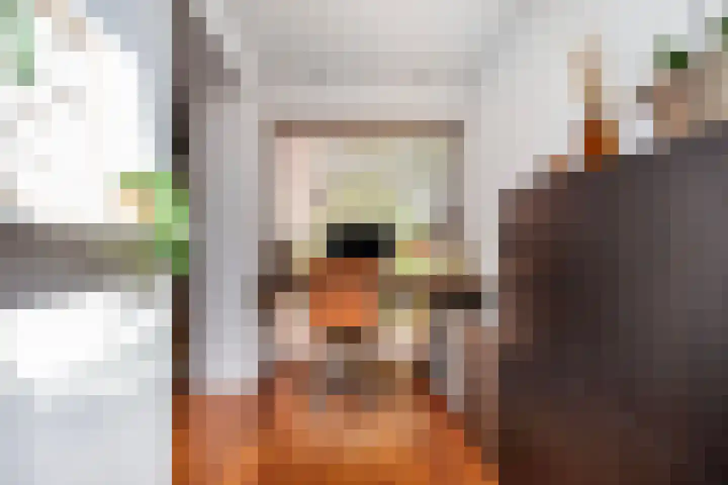 Theo Thijssenhove 21 Nieuwegein thumbnail 16