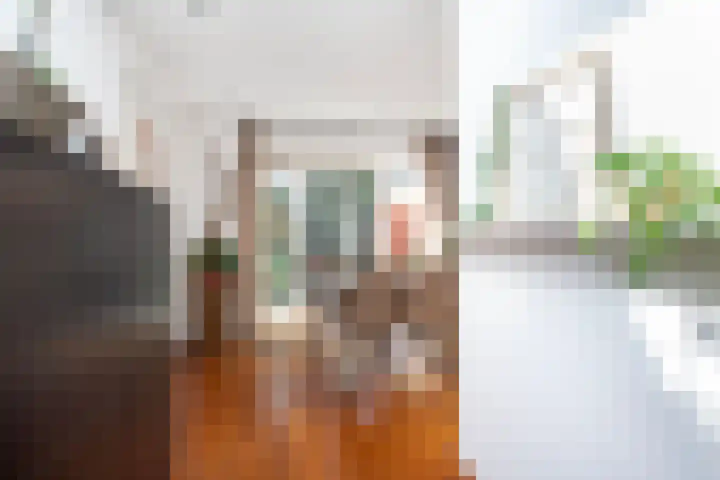 Theo Thijssenhove 21 Nieuwegein thumbnail 17