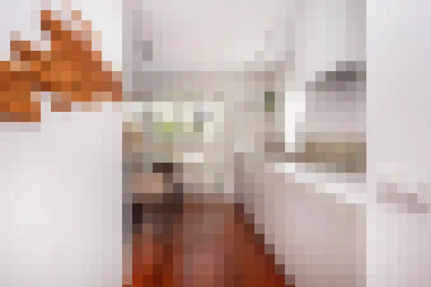 Theo Thijssenhove 21 Nieuwegein thumbnail 23