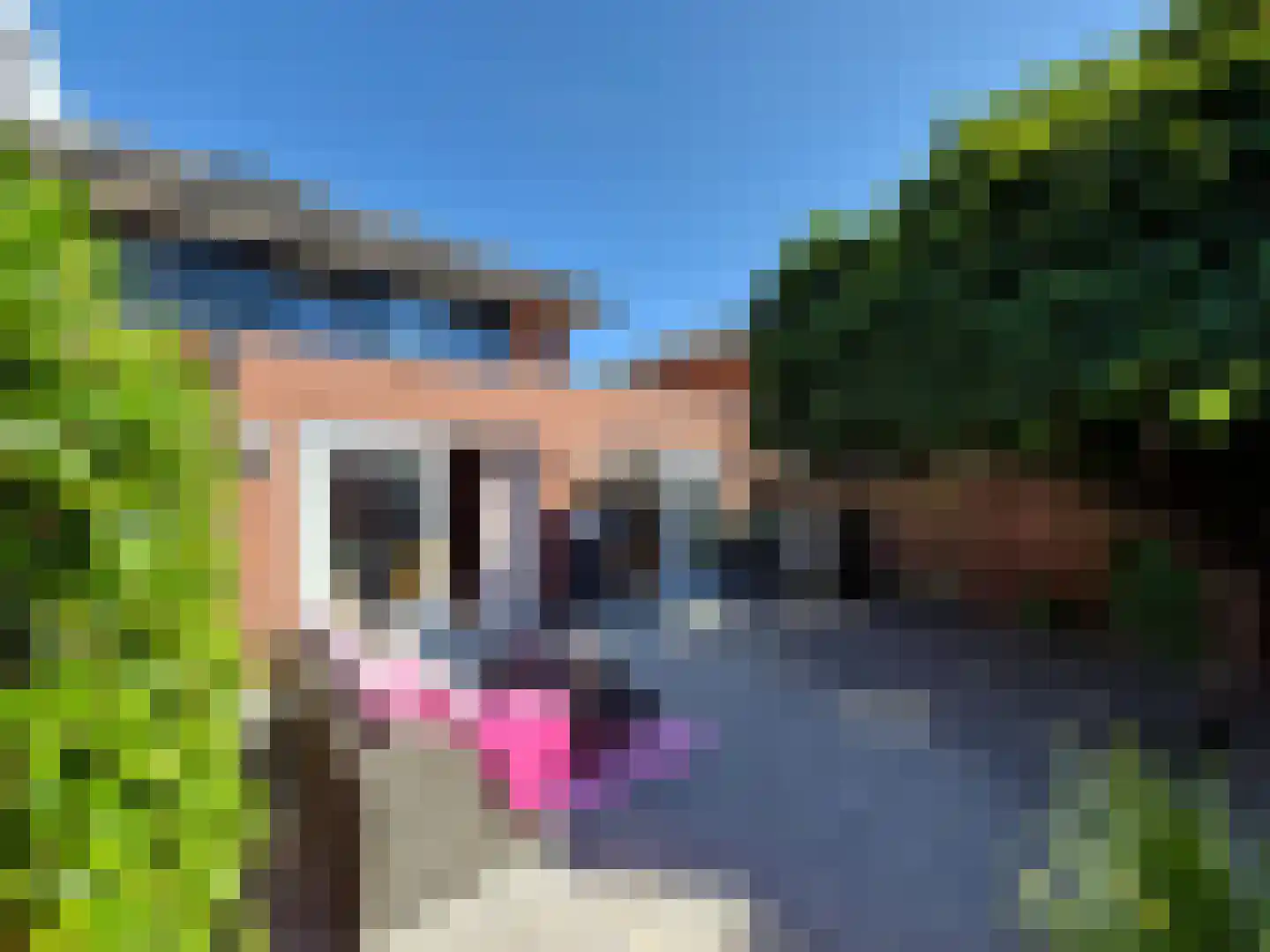 Theo Thijssenhove 21 Nieuwegein thumbnail 28