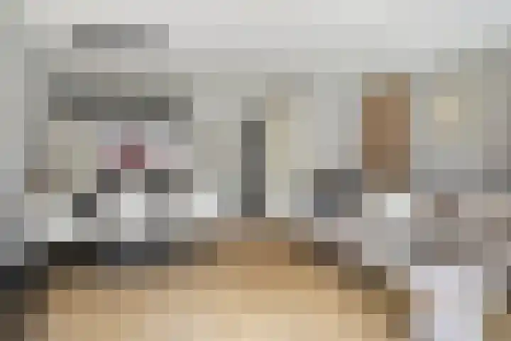 Theo Thijssenlaan 5 Kloetinge thumbnail 13
