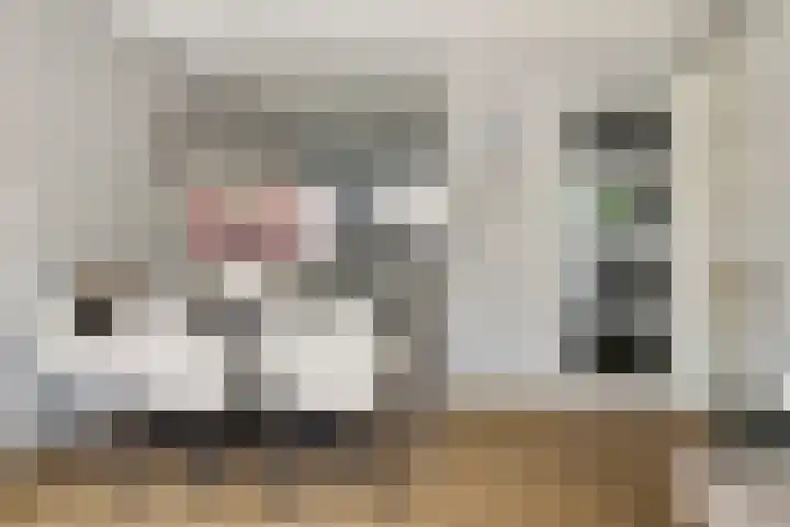 Theo Thijssenlaan 5 Kloetinge thumbnail 14