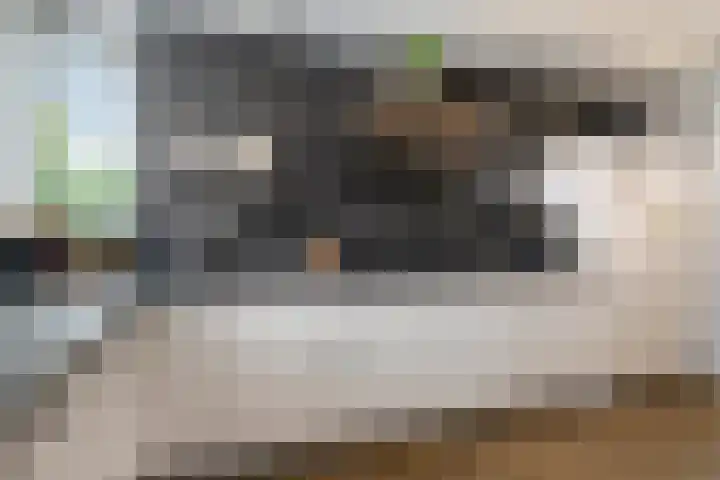 Theo Thijssenlaan 5 Kloetinge thumbnail 20