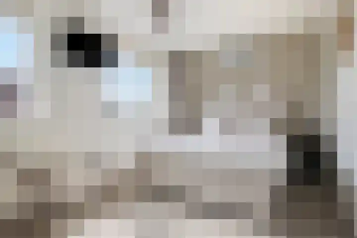 Theo Thijssenlaan 5 Kloetinge thumbnail 24