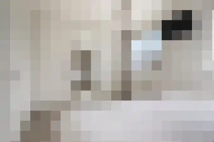 Theo Thijssenlaan 5 Kloetinge thumbnail 25