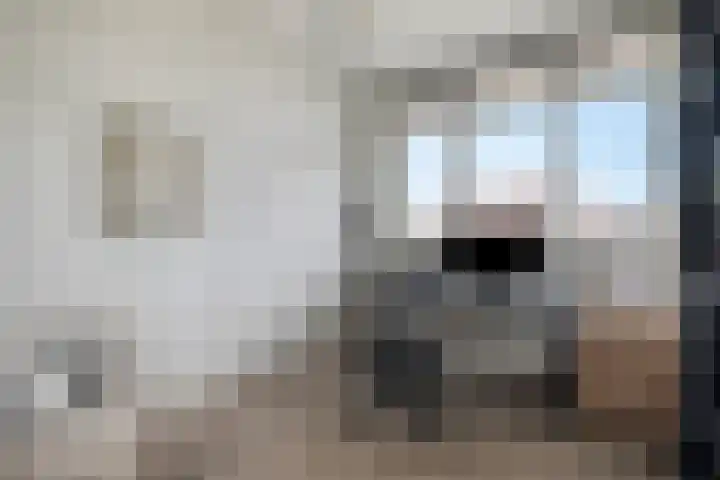 Theo Thijssenlaan 5 Kloetinge thumbnail 29