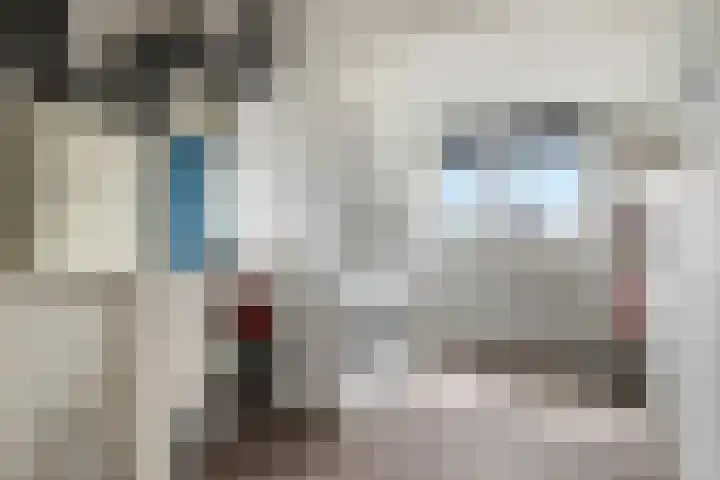 Theo Thijssenlaan 5 Kloetinge thumbnail 31
