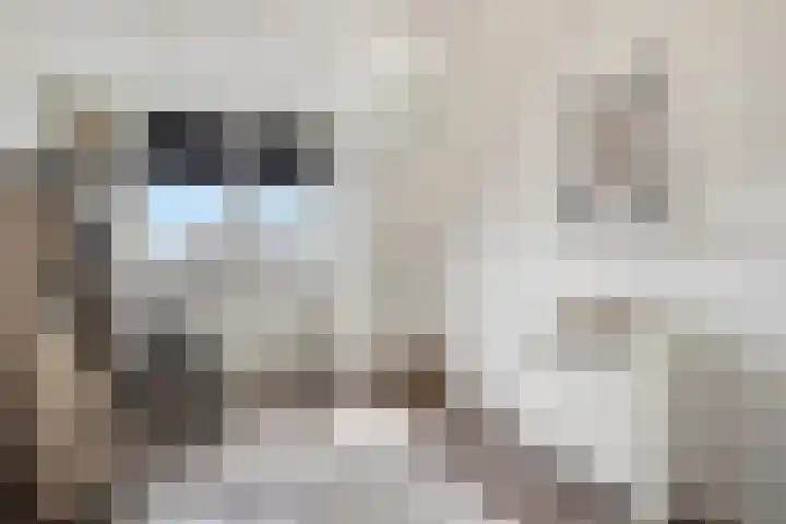 Theo Thijssenlaan 5 Kloetinge thumbnail 33