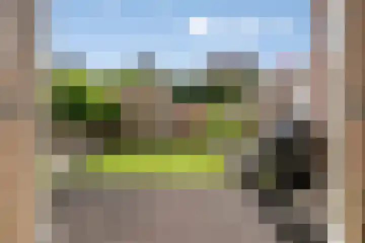 Theo Thijssenlaan 5 Kloetinge thumbnail 36
