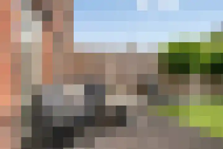 Theo Thijssenlaan 5 Kloetinge thumbnail 37