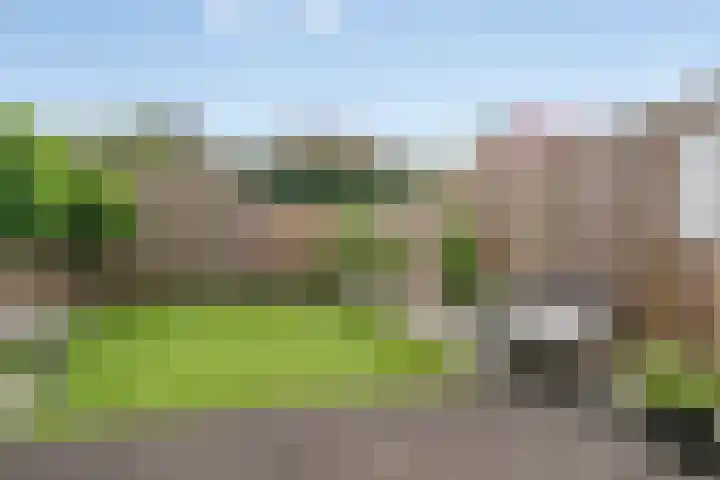 Theo Thijssenlaan 5 Kloetinge thumbnail 38