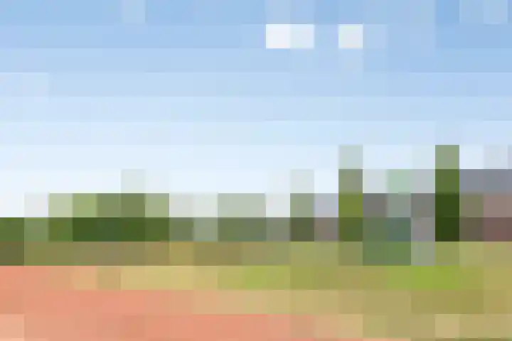 Theo Thijssenlaan 5 Kloetinge thumbnail 43