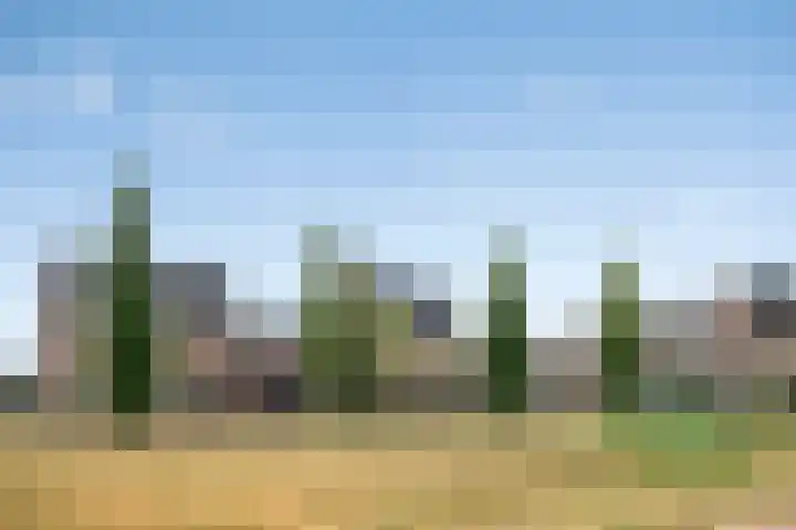Theo Thijssenlaan 5 Kloetinge thumbnail 44