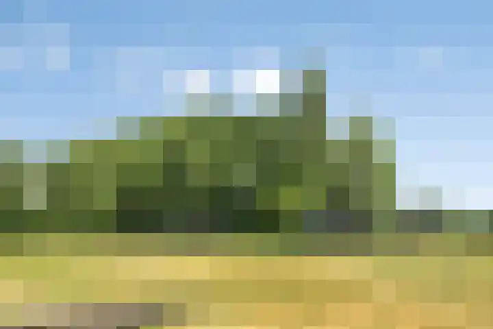 Theo Thijssenlaan 5 Kloetinge thumbnail 45