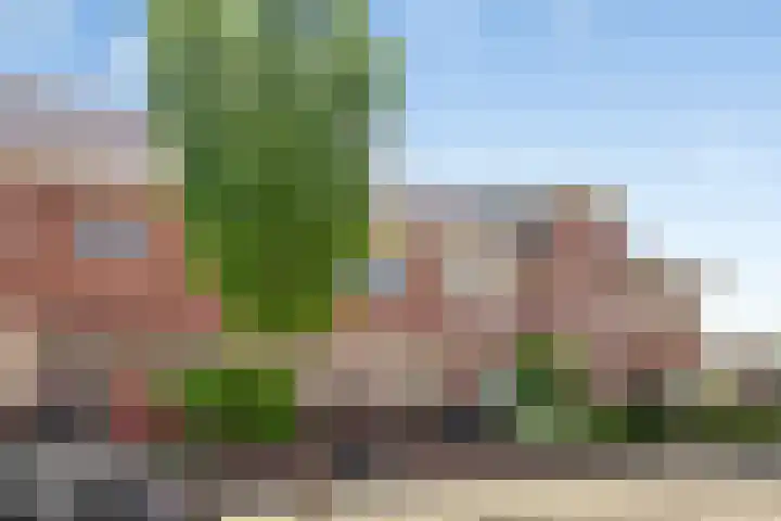 Theo Thijssenlaan 5 Kloetinge thumbnail 5