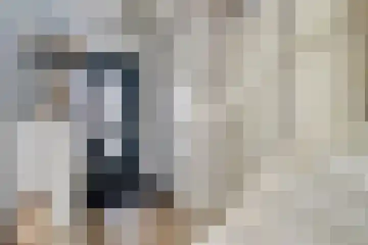 Theo Thijssenlaan 5 Kloetinge thumbnail 8