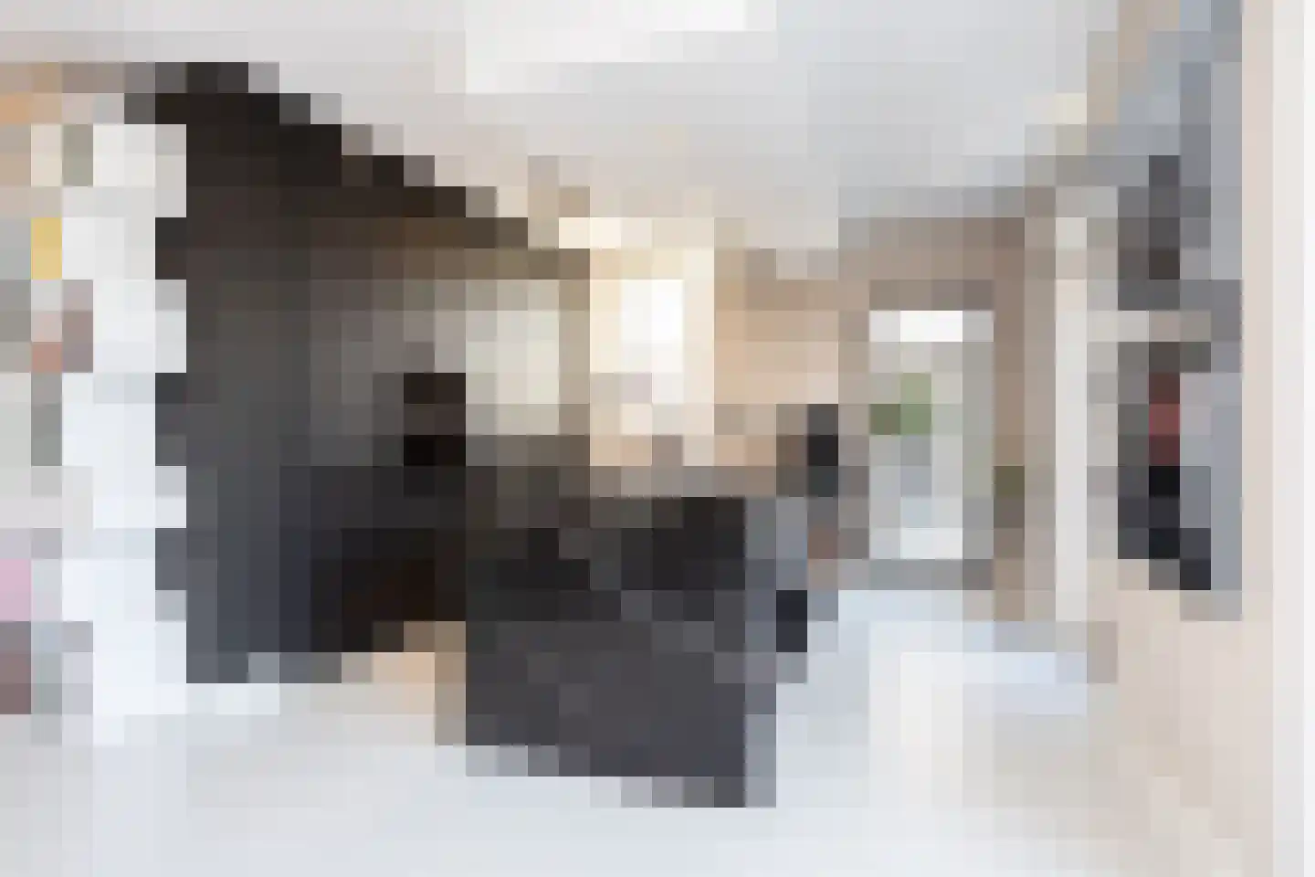 Theo Thijssensingel 2 Berkel en Rodenrijs thumbnail 22