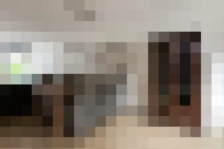 Theo Thijssensingel 22 Berkel en Rodenrijs thumbnail 11