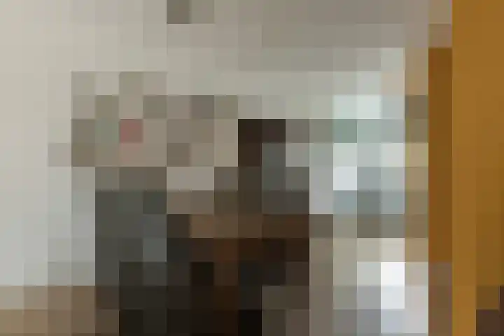 Theo Thijssensingel 22 Berkel en Rodenrijs thumbnail 12